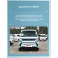 Dongfeng Fengguang Hongguang Mini EV 120km High Speed 4 Seats Pure Electric Car/China Most Popular/Show Personality
